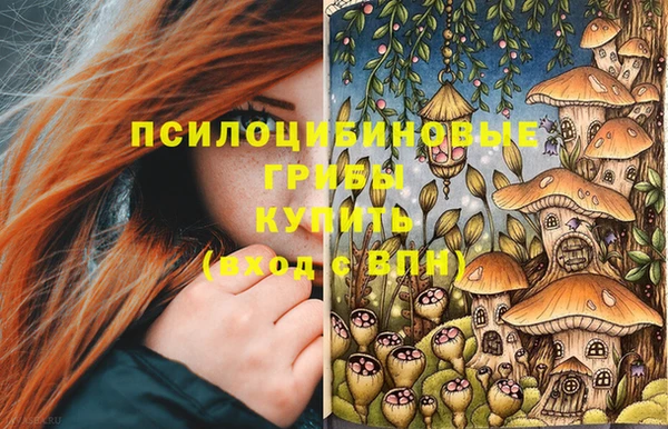 молекула духа Переславль-Залесский