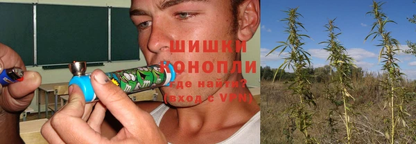 кокс Арсеньев