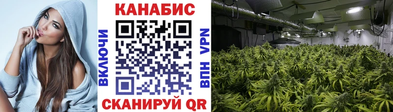 купить наркотики цена  Севск  Бошки Шишки ГИДРОПОН 